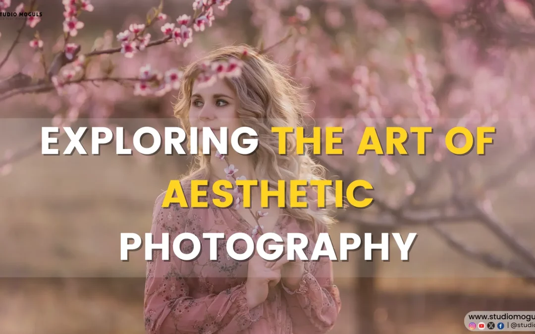 Exploring the Art of Aesthetic Photography